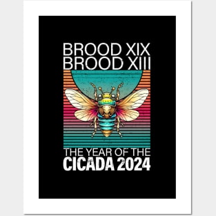 Cicada Brood Xix Brood Xiii Year Of The Cicada 2024 Posters and Art